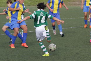 AYX体育官网-国家体育场运营中心发布暑期开放时间公告，国家体育场百度百科