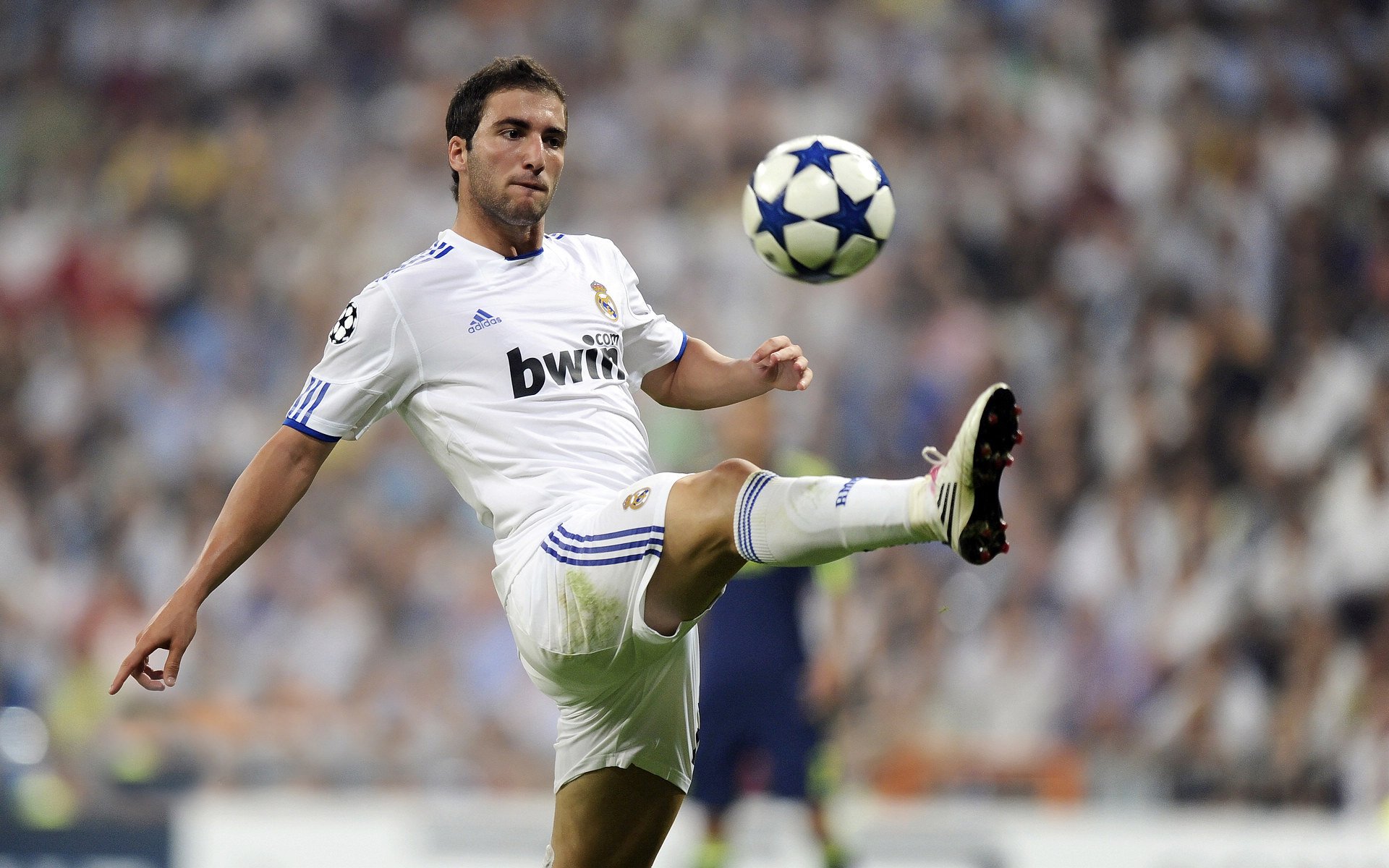 普里戈达短蛙爆发力引起关注