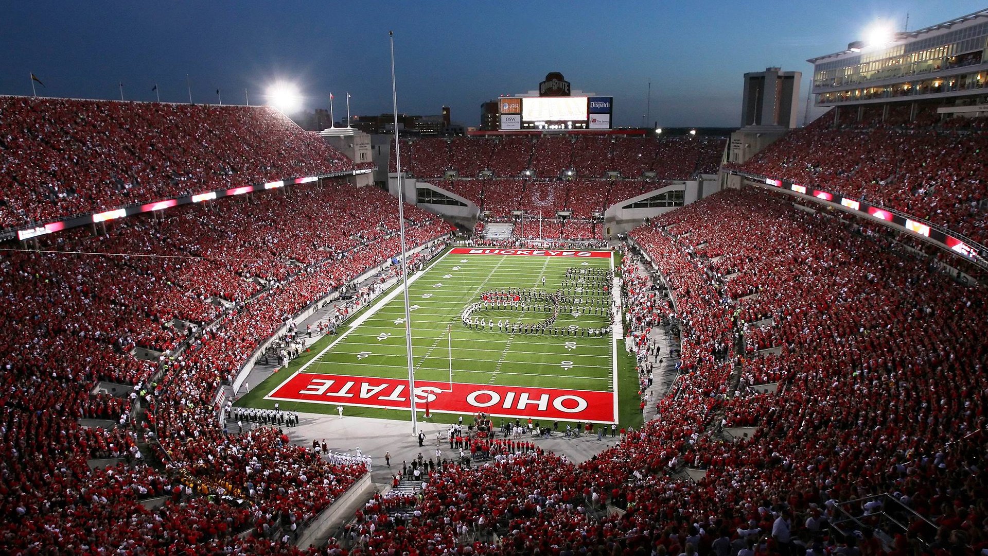 格雷琴·沃尔什蝶泳50米强势夺金,沃格游泳